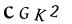 captcha-input