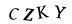 captcha-input