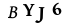 captcha-input