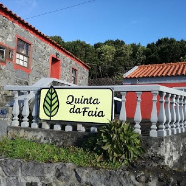 QUINTA DA FAIA