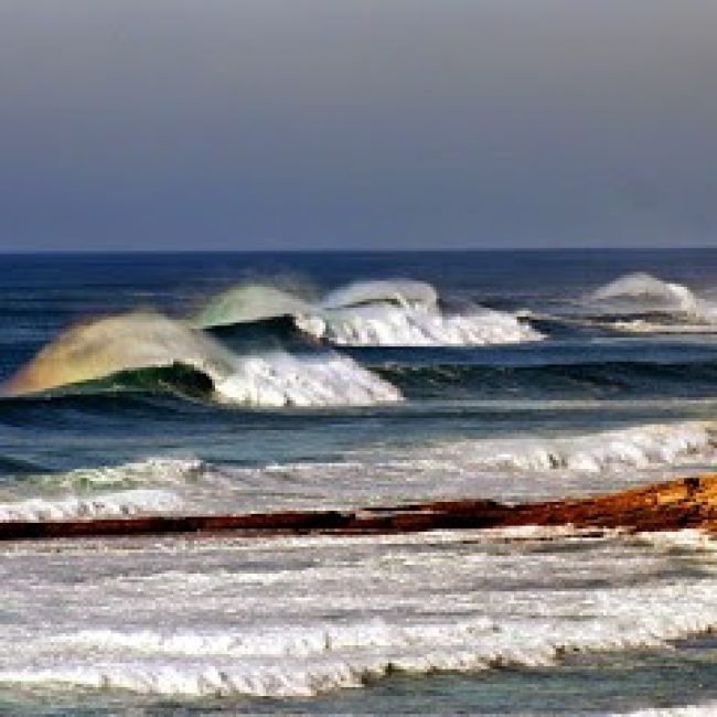 ERICEIRA BLUE OCEAN SURF SCHOOL & RENTALS