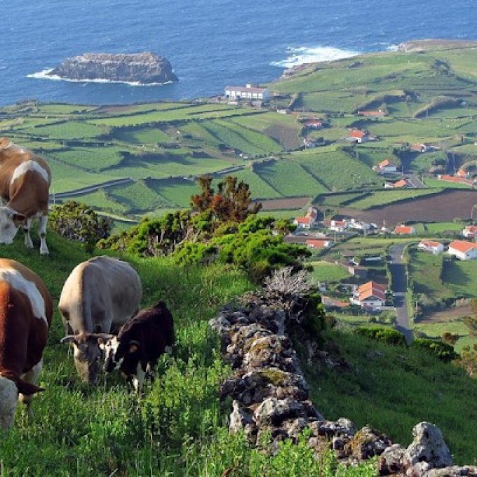 VERDE PINO – AGÊNCIA DE VIAGENS E TURISMO