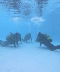 AZORESDIVING/AÇORDIVING SSI/MARES DIVE CENTER