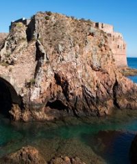 BERLENGAS