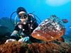 MADEIRA DIVING CENTER