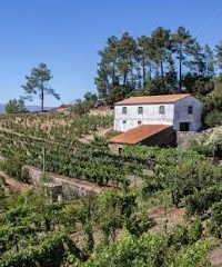 QUINTA DA ESTRADA DOURO VALLEY