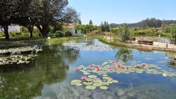 QUINTA DA FONTOURA, LDA.