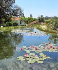 QUINTA DA FONTOURA, LDA.