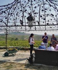 WINTP – WINE TOURISM IN PORTUGAL