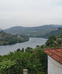 DOURO À VELA, UNIPESSOAL LDA.