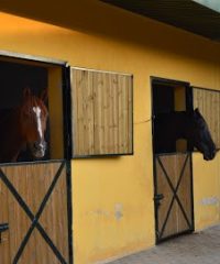 ESPAÇO EQUESTRE – CENTRO HÍPICO, RESTAURANTE, BAR