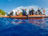 HALIOTIS DIVE CENTER FAIAL