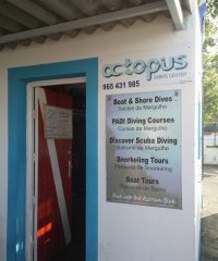 OCTOPUS DIVING CENTER