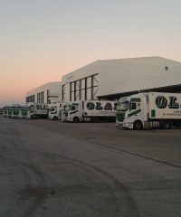 OLANO PORTUGAL – TRANSPORTES, S.A.