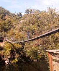 PASSEIO FLUVIAL