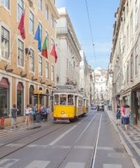 DEAR LISBON – PALACE CHIADO