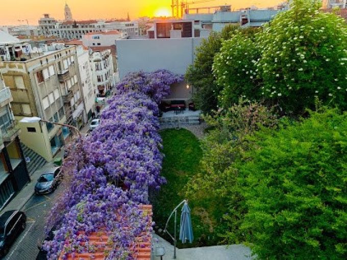 URBAN GARDEN PORTO CENTRAL HOSTEL