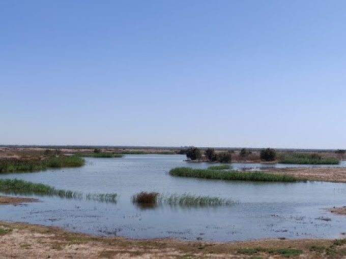 TAPADA NACIONAL DE MAFRA