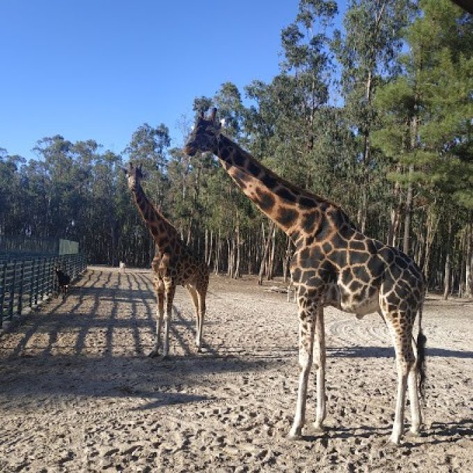 BADOCA SAFARI PARK