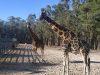 BADOCA SAFARI PARK