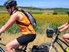 CYCLING RENTALS