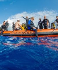 HALIOTIS DIVE CENTER FAIAL