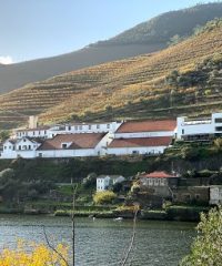 QUINTA DE LA ROSA