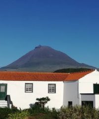 CASA DOS BISCOITOS