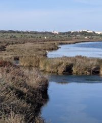 CASTRO MARIM AND VILA REAL DE SANTO ANTÓNIO MARSH NATURAL RESERVE