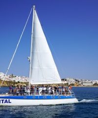 CATAMARAN VITAL