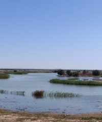 TAPADA NACIONAL DE MAFRA