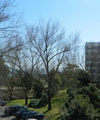 ENJOY OEIRAS APARTMENTS