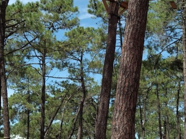 ADVENTURE PARK VILA REAL DE SANTO ANTÓNIO