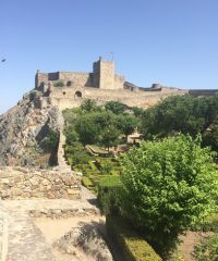 MAURÍCIO RODRIGUES PRIVATE DRIVER