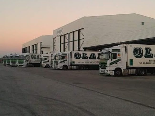 OLANO PORTUGAL – TRANSPORTES, S.A.