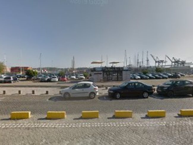 PALMAYACHTS – BOAT TOURS