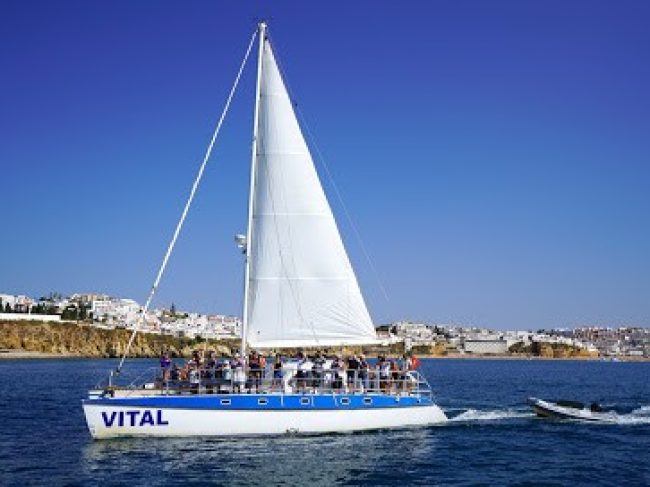 CATAMARAN VITAL