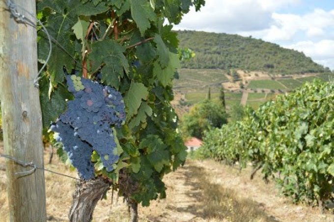 ECOTRILHA – PORTUGAL TOURS