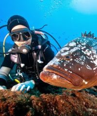 MADEIRA DIVING CENTER