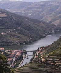 MANDALA TRAVEL PORTUGAL – TOURS AND TRANSFERS – PORTO