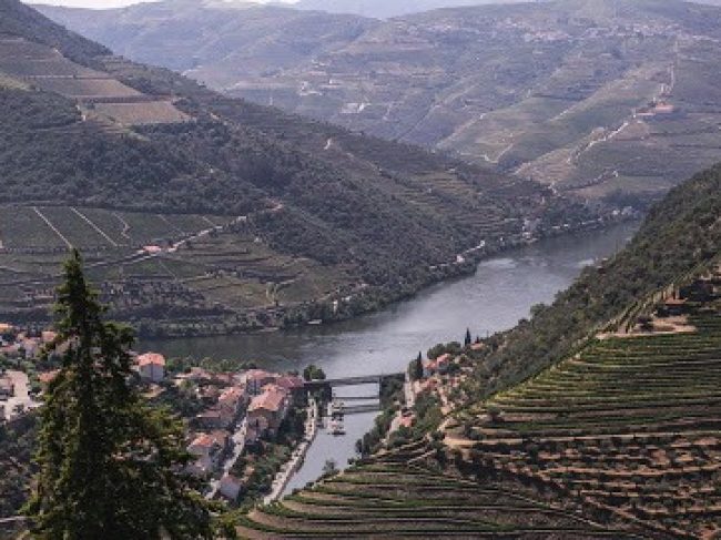 MANDALA TRAVEL PORTUGAL – TOURS AND TRANSFERS – PORTO
