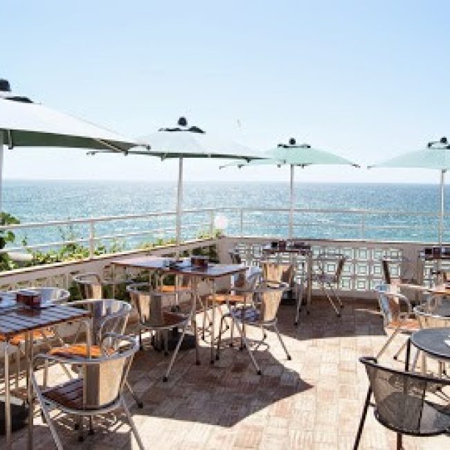 IGUANA CAFÉ