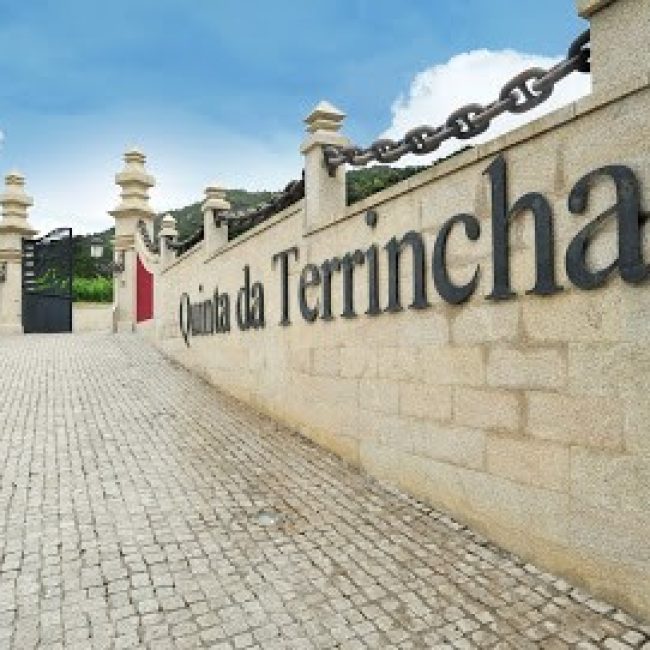 QUINTA DA TERRINCHA