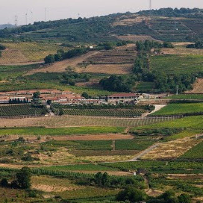 QUINTA DA BARROCA