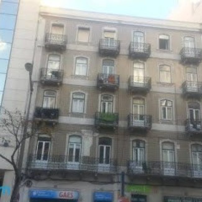 LISBON PARADISE