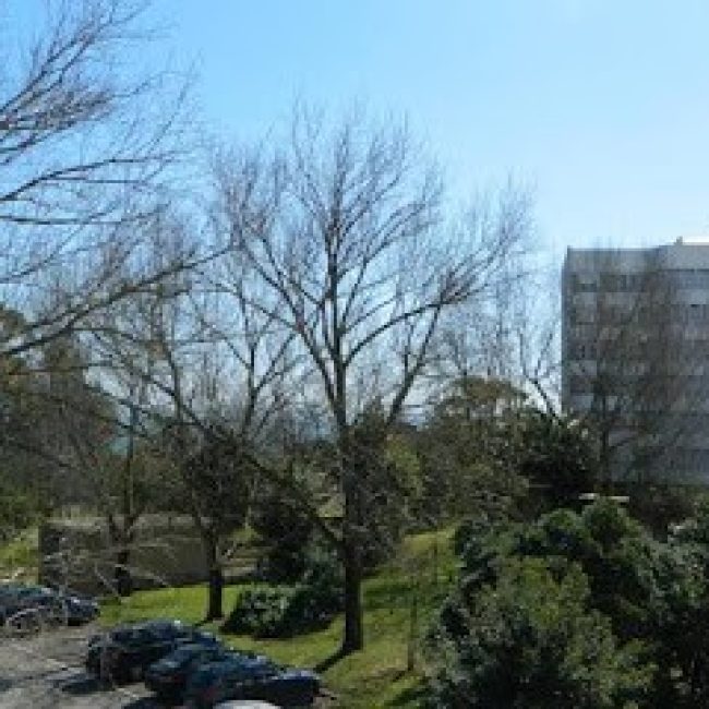ENJOY OEIRAS APARTMENTS