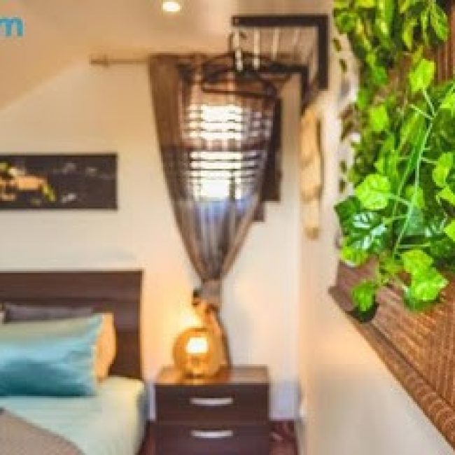 GARDEN IN TOWN HOSTEL