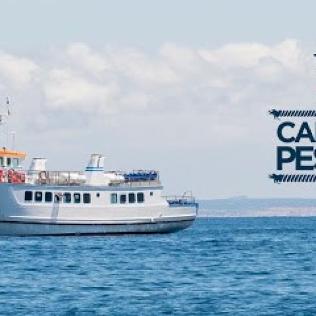 VIGEMAC VIAGENS E TURISMO, LDA.