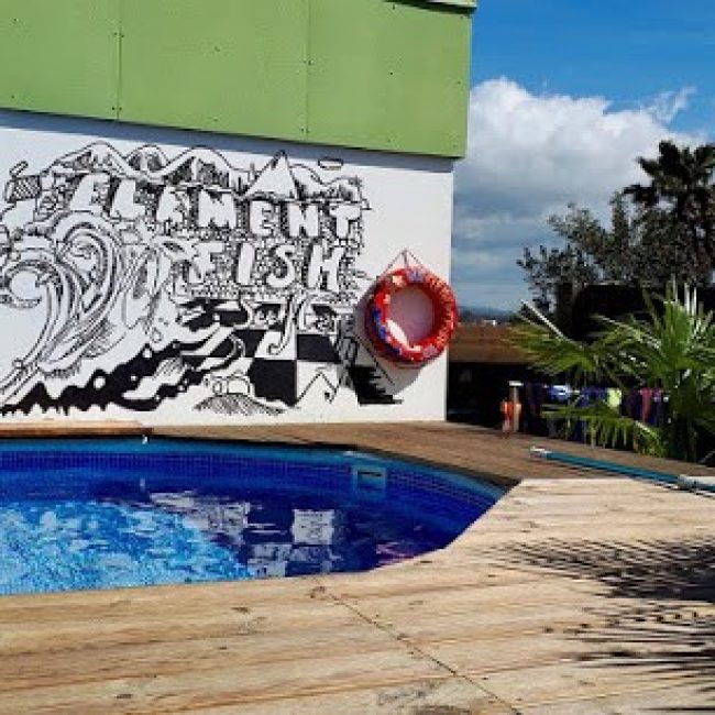 ELEMENTFISH KITE & SURF CAMP