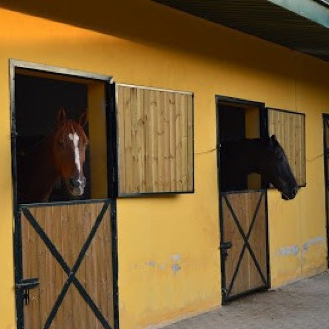 ESPAÇO EQUESTRE – CENTRO HÍPICO, RESTAURANTE, BAR